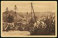 Cartes postales anciennes 12960